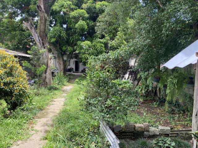 #1348 - Terreno para Venda em São Paulo - SP - 3