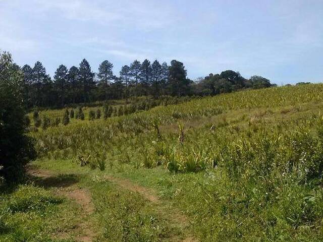 Terreno para Venda em São Paulo - 2